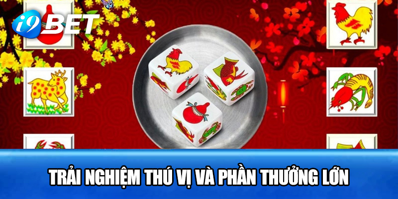 Trải nghiệm thú vị và phần thưởng lớn