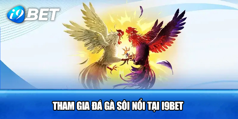 Tham gia đá gà sôi nổi tại I9BET